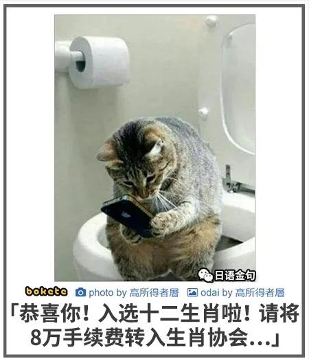 為何印度能成為糧食出口國，而中國卻需四處采購糧食？