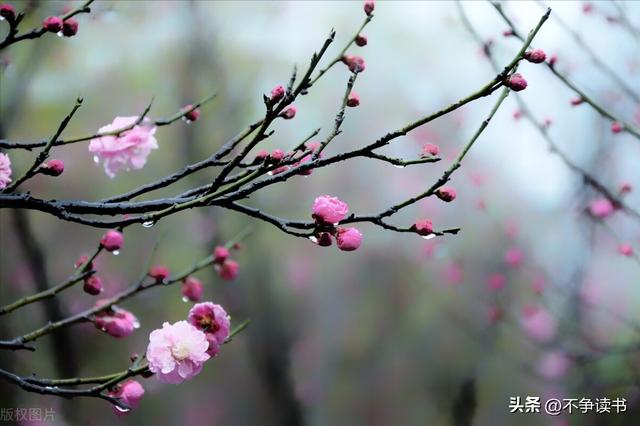 為什么大家越來越不愿意生孩子了？