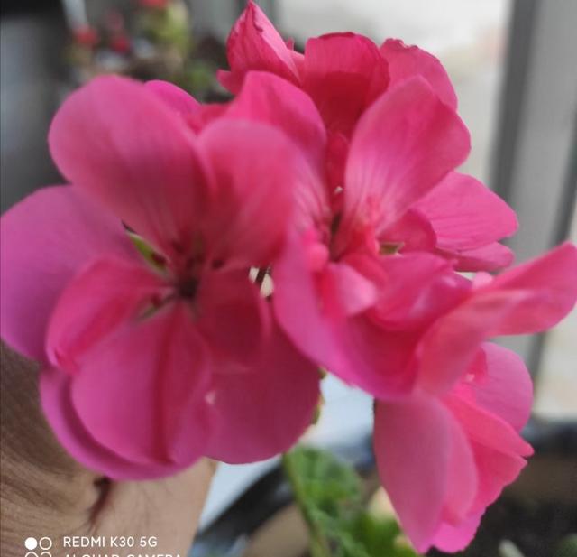 女兒15歲，發現她偷偷去了醫院婦科檢查，作為家長我該怎么辦？