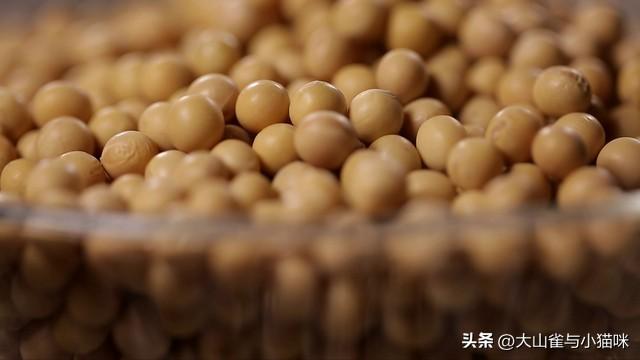 中儲糧宣布收儲，大豆大漲！國產豆終于要翻身了？豆粕還會跌嗎？