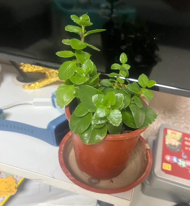 父母的哪句話讓你覺得他們不愛你？