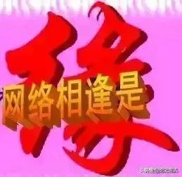 在你的評論區出現對你惡語相向的評論，甚至辱罵，你會如何應對？