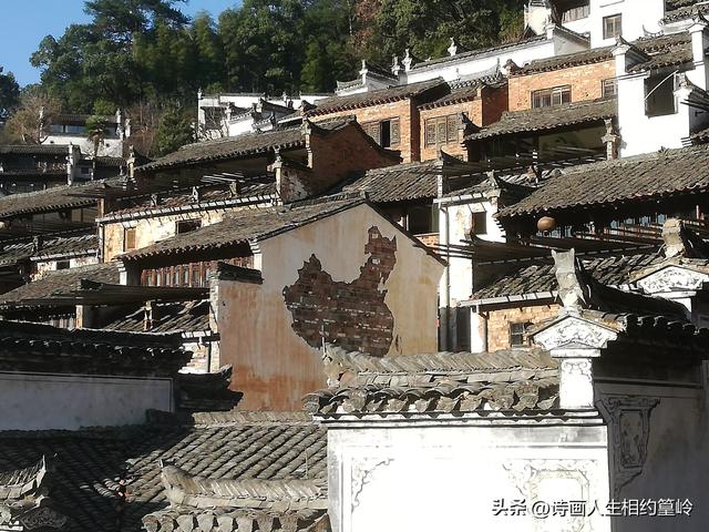 放開了，你認為能自駕旅游嗎？