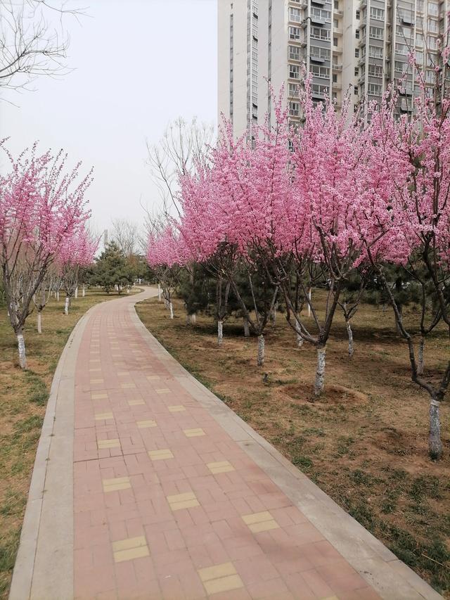 老父親迷上電視購物快8年，有什么辦法可以勸阻？