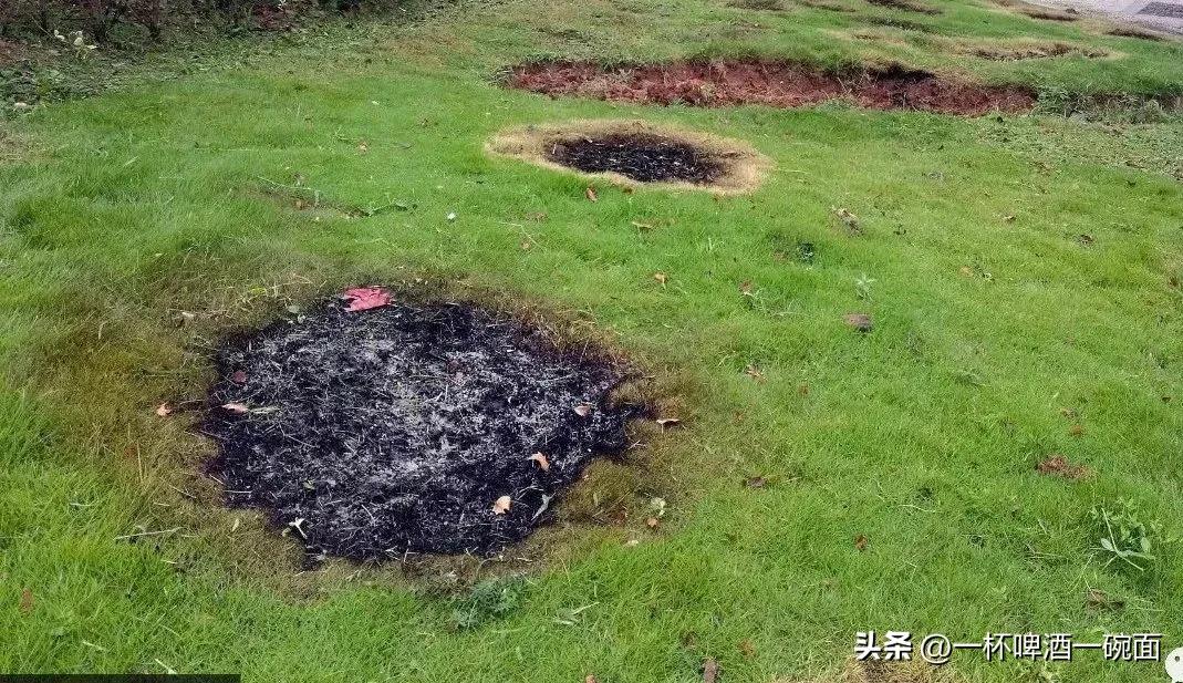 清明節祭祀，小區里焚燒草紙，到底是風俗還是陋習？