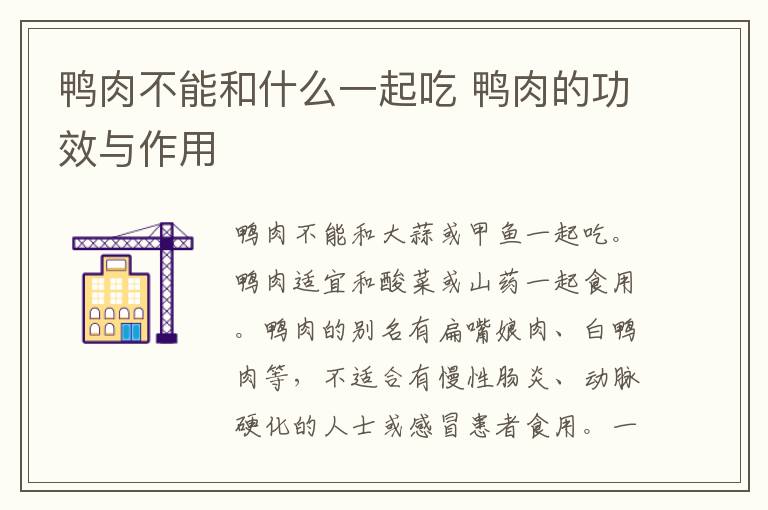 鴨肉不能和什么一起吃 鴨肉的功效與作用
