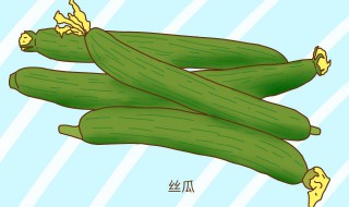 男人吃絲瓜的害處 男人不能吃絲瓜嗎