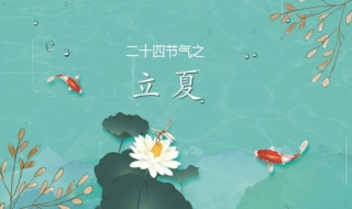 立夏應該吃什么 有哪些食物最適合立夏吃