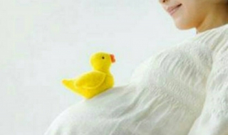 懷孕吃什么好 給大家介紹幾種