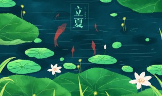 立夏吃什么肉好 立夏吃哪種肉好
