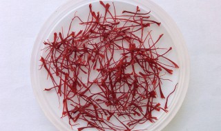 藏紅花能放保鮮冰箱嗎 藏紅花保存放冰箱嗎