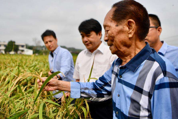 袁隆平爺爺的簡介