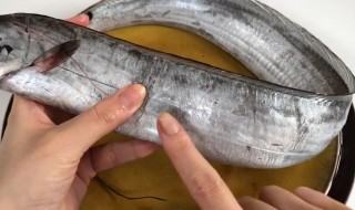 帶魚表面銀色需要去掉嗎 帶魚表面銀色是否需要去掉