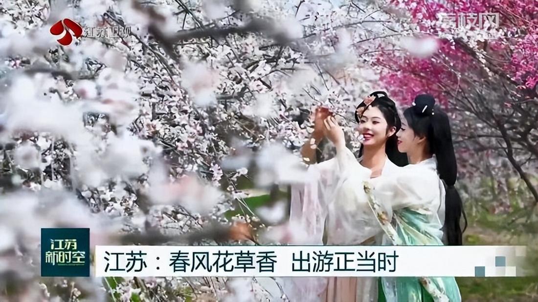 江蘇：春風花草香 出游正當時