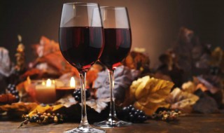 干紅葡萄酒怎么兌好喝 干紅葡萄酒兌什么好喝