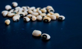 白蕓豆直接吃可以減肥嗎 白蕓豆怎么吃減肥