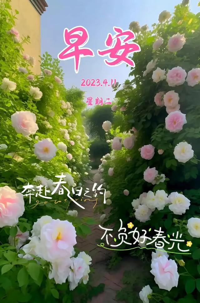 歷史上所有皇帝登基都殺功臣，李世民為什么不殺，還重用魏征呢？