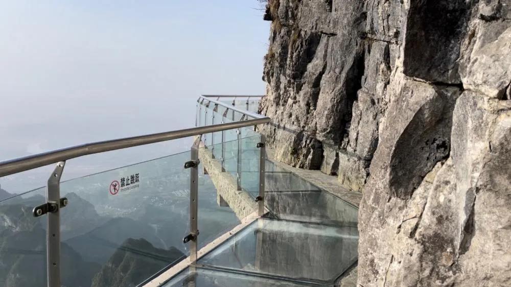 “約死群”聊天內容讓人震驚，張家界集體跳崖真相浮出水面