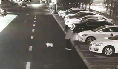 杭州狗主人被刑拘，女子驅趕未拴繩寵物犬被犬主毆打