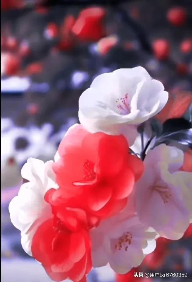 你們身邊真的有人買彩票中過獎嗎？