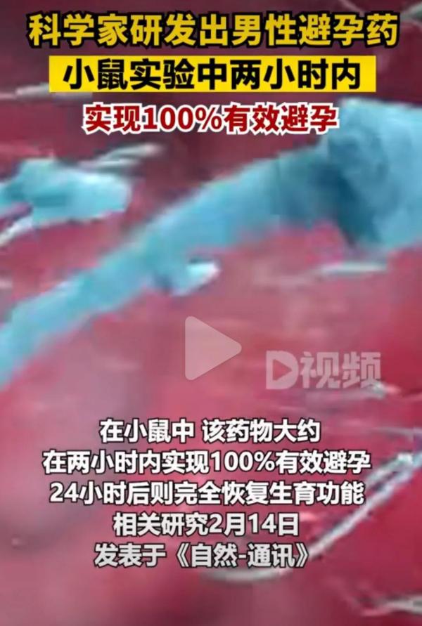 能想到嗎？科學家研發出男性避孕藥，你會使用嗎？