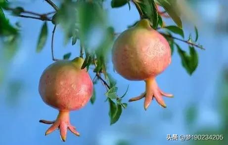 廣東人為何最敢生娃？