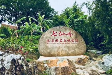 七仙嶺海拔多少