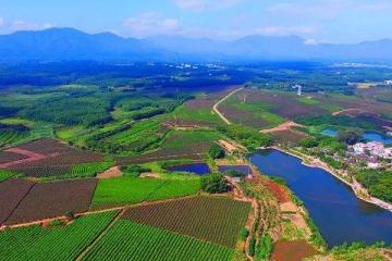 海南解放時間是什么時候