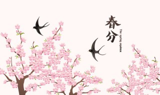 春分可以過十歲生日嗎 春分過生日好嗎