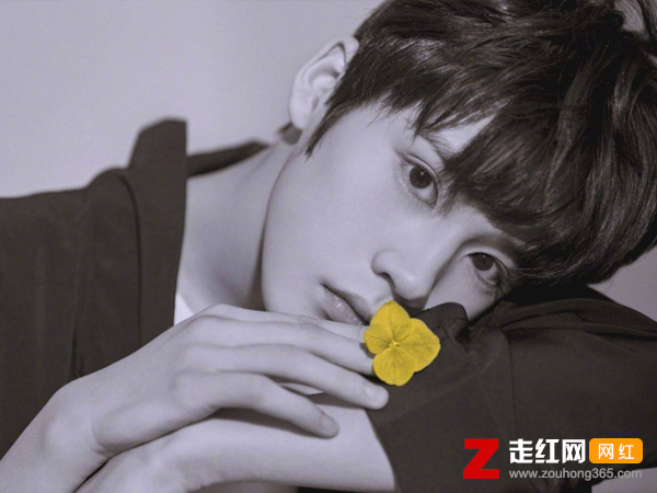 姚景元個人資料簡介，揭秘姚景元為什么退出臺風少年團