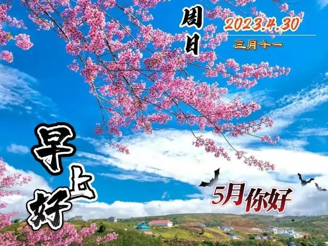 20世紀第一軍事家是誰？
