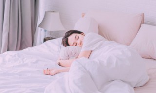 夢見寵物是什么意思 夢見寵物的含義