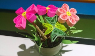 夢見一盆花 你知道是什么意思嗎
