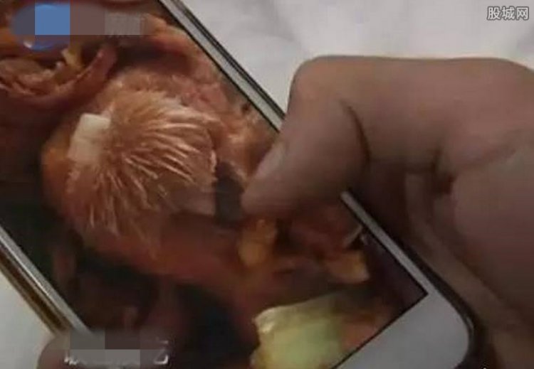 黃燜雞吃出帶牙肉疑似老鼠頭 查明真相后真是惡心至極