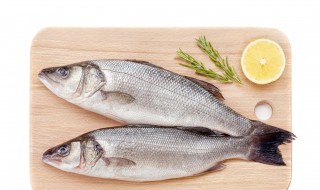 什么季節是釣鱸魚的季節 釣鱸魚是在哪個季節