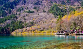 11月適合去哪里旅游 這五個城市非常合適