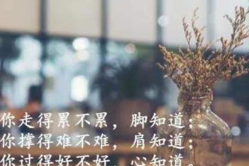 深入人心的感情句子