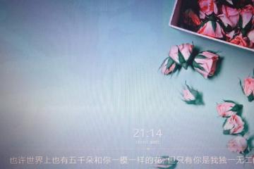 獨一無二的霸氣句子