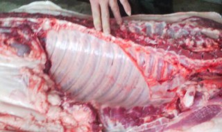 豬肉飛機翅是豬的哪個部位 豬肉飛機翅是豬的什么部位