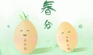 春分豎蛋 春分豎蛋介紹