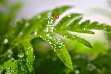 谷雨是什么意思呢