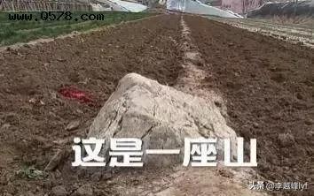 中國最矮的山就在山東只有0.6米，為何卻沒有人能“攀登”？