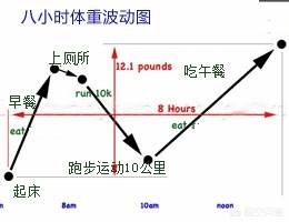 為什么晚上和早上的體重偏差不大？