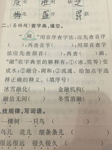 母用音序查字法應先查音序什么 母用音序查字法應先查音序啥