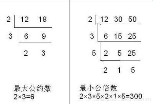 3和6的最小公倍數是多少 3和6的最小公倍數是幾