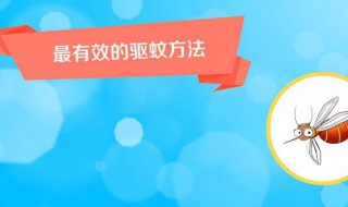 室外驅蚊最有效的方法 室外驅蚊有什么技巧