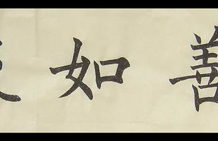 用從善如流造句 從善如流意思