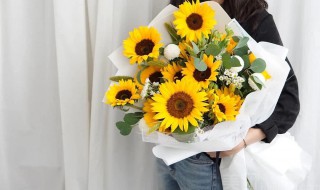 向日葵畢業花束的花語 向日葵畢業花束的花語介紹