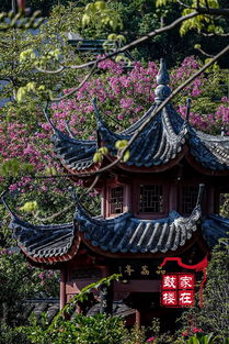 黎明湖公園在哪里 有多大呢