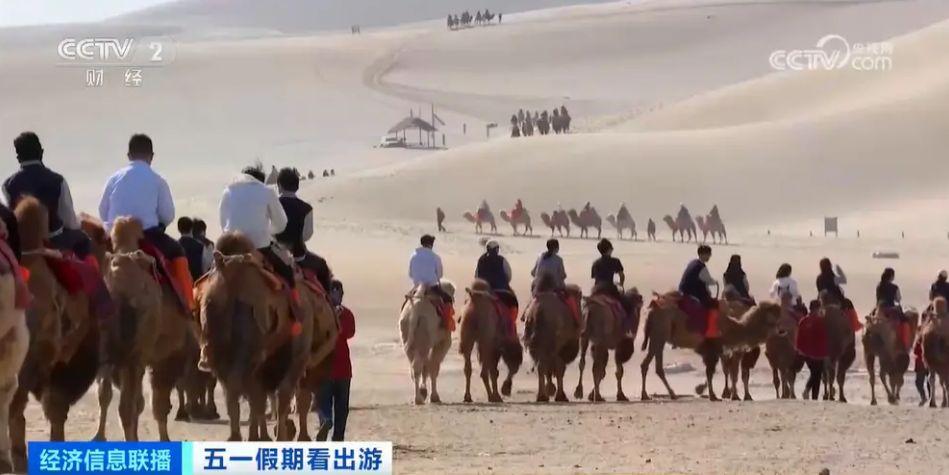 敦煌月牙泉景區“堵駱駝”了